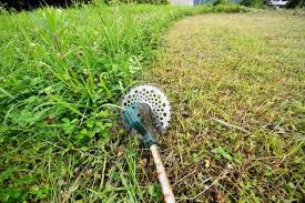 福井県の便利屋BLACK EAGLE 草刈り 伐採 剪定